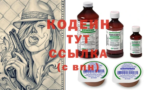 соль ск Ельня