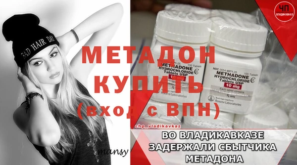 хмурый Осинники
