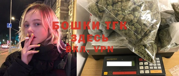 хмурый Осинники