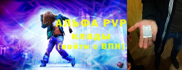 хмурый Осинники