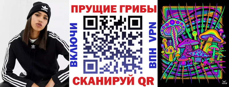 Галлюциногенные грибы Cubensis  blacksprut ССЫЛКА  Старая Купавна 